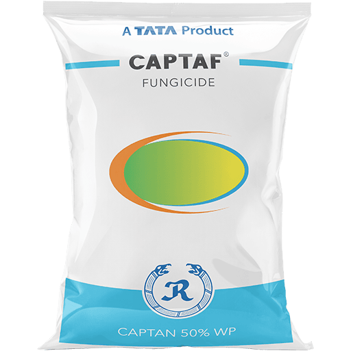 Captaf - Captan 50% WP - Rallis India