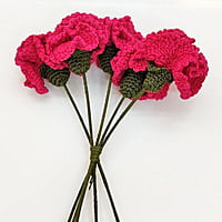Crochet Carnation (Bunch of 6)