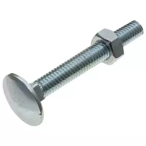 (6201) Palam S.S CARRIAGE BOLT 50x6