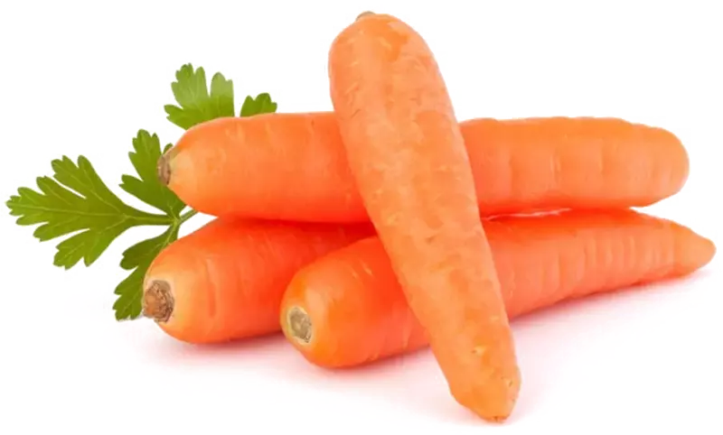 Carrot காரட்