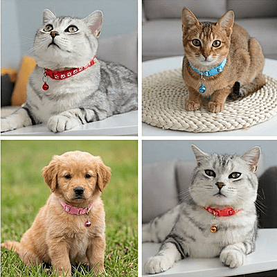 PRINTED PET COLLAR (SET OF 2) PRINTED PET COLLAR (SET OF 2)