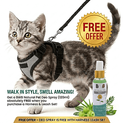 Cat NO-PULL with Leash Harness (Mesh)-Gray-XXS