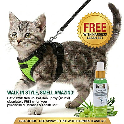 Cat NO-PULL with Leash Harness (Mesh)-Green-XXS