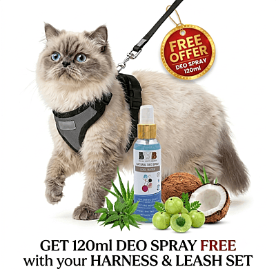 Cat NO-PULL with Leash Harness (Mesh)-gray-S