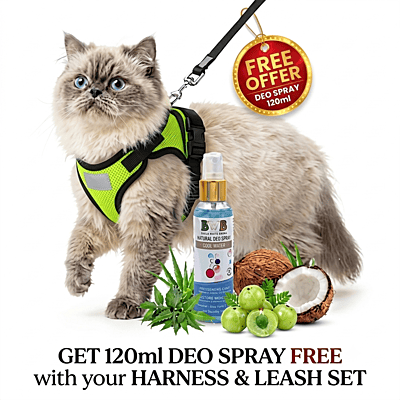 Cat NO-PULL with Leash Harness (Mesh)-green-S Cat NO-PULL with Leash Harness (Mesh)-green-S