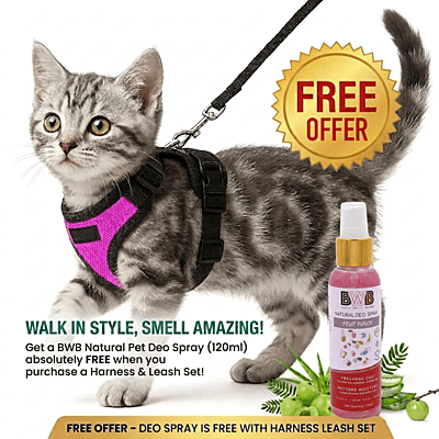 Cat NO-PULL with Leash Harness (Mesh)-pink-XS