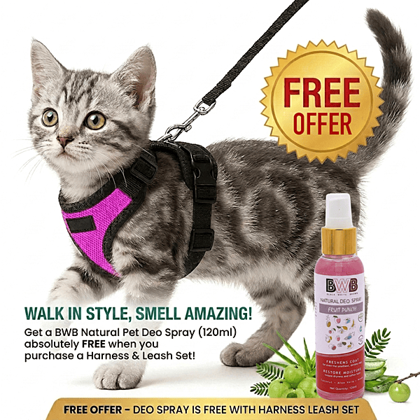 Cat NO-PULL with Leash Harness (Mesh)-pink-XS Cat NO-PULL with Leash Harness (Mesh)-pink-XS