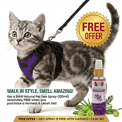 Cat NO-PULL with Leash Harness (Mesh)-Purple-XXS