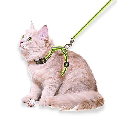 Reflective Cat Harness with Leash Set Reflective Cat Harness with Leash Set