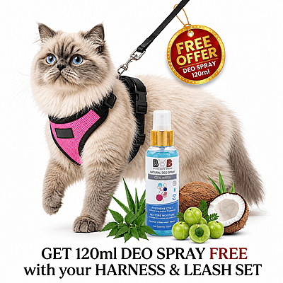 Cat NO-PULL with Leash Harness (Mesh)-pink-S