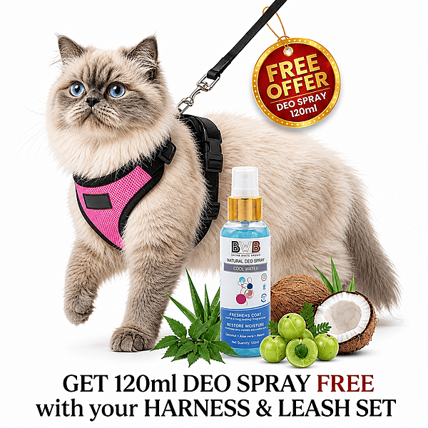 Cat NO-PULL with Leash Harness (Mesh)-pink-S Cat NO-PULL with Leash Harness (Mesh)-pink-S