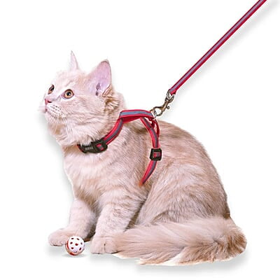 Reflective Cat Harness with Leash Set Reflective Cat Harness with Leash Set