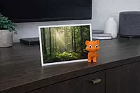 Kitty The Cat