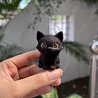 Cocoa