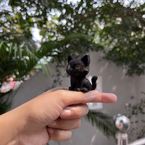 Cocoa