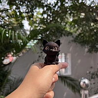 Cocoa