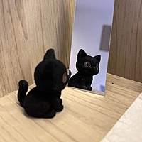 Cocoa