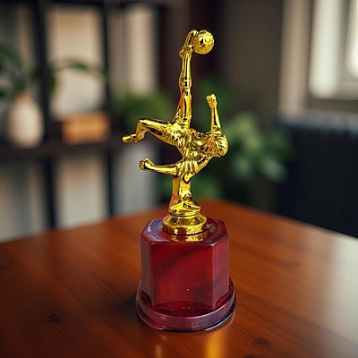 RC-SP1404  GOLD 19.50CM 18%(BICYCLE KICK)