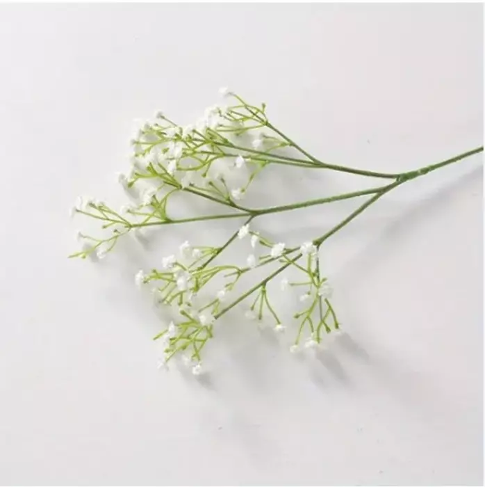 White Gypsy Flower 1 Bunch