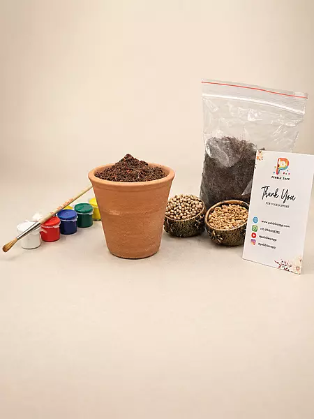Pot Painting | DIY Paint Your Own Pot Growing Kit for Kids & Adults any other