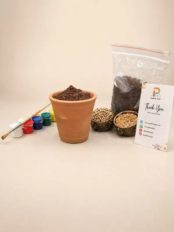 Pot Painting | DIY Paint Your Own Pot Growing Kit for Kids & Adults any other