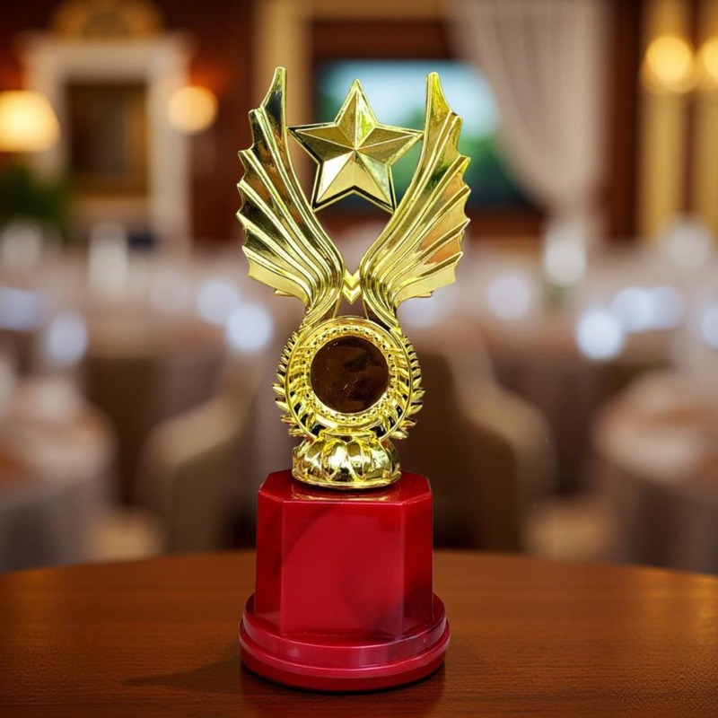 RC-FP1063A NEW 25CM 18%