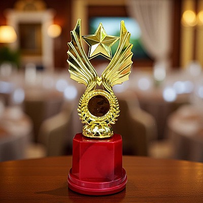 RC-FP1063C NEW 20CM 18%