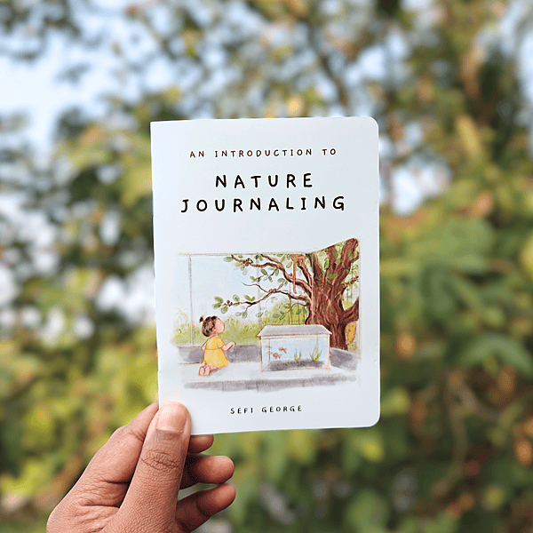Nature Journaling Zine – Illustrated Pocket Guide to Observation and Curiosity