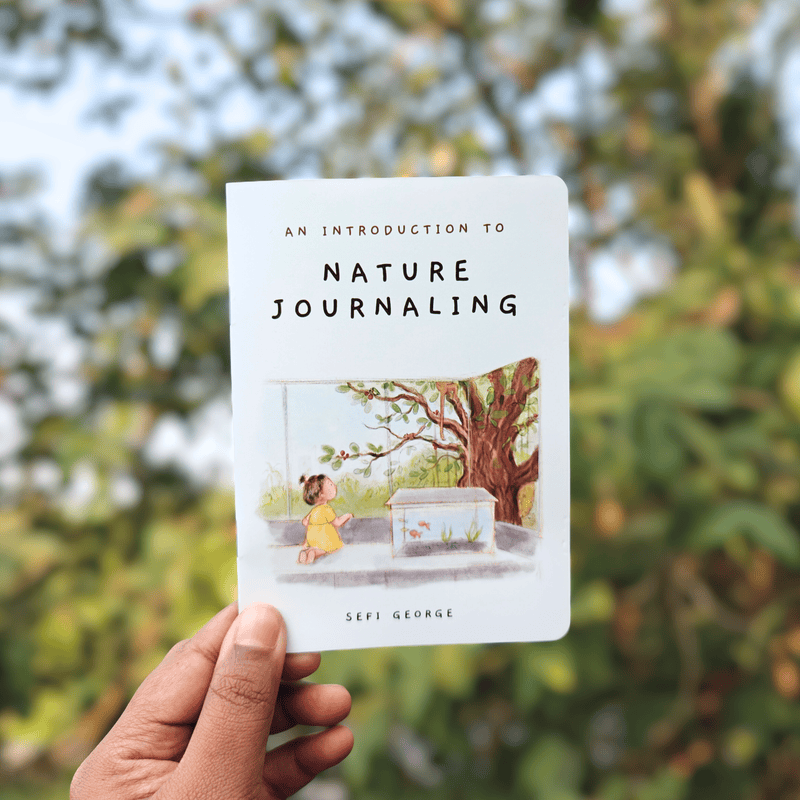 Nature Journaling Zine – Illustrated Pocket Guide to Observation and Curiosity