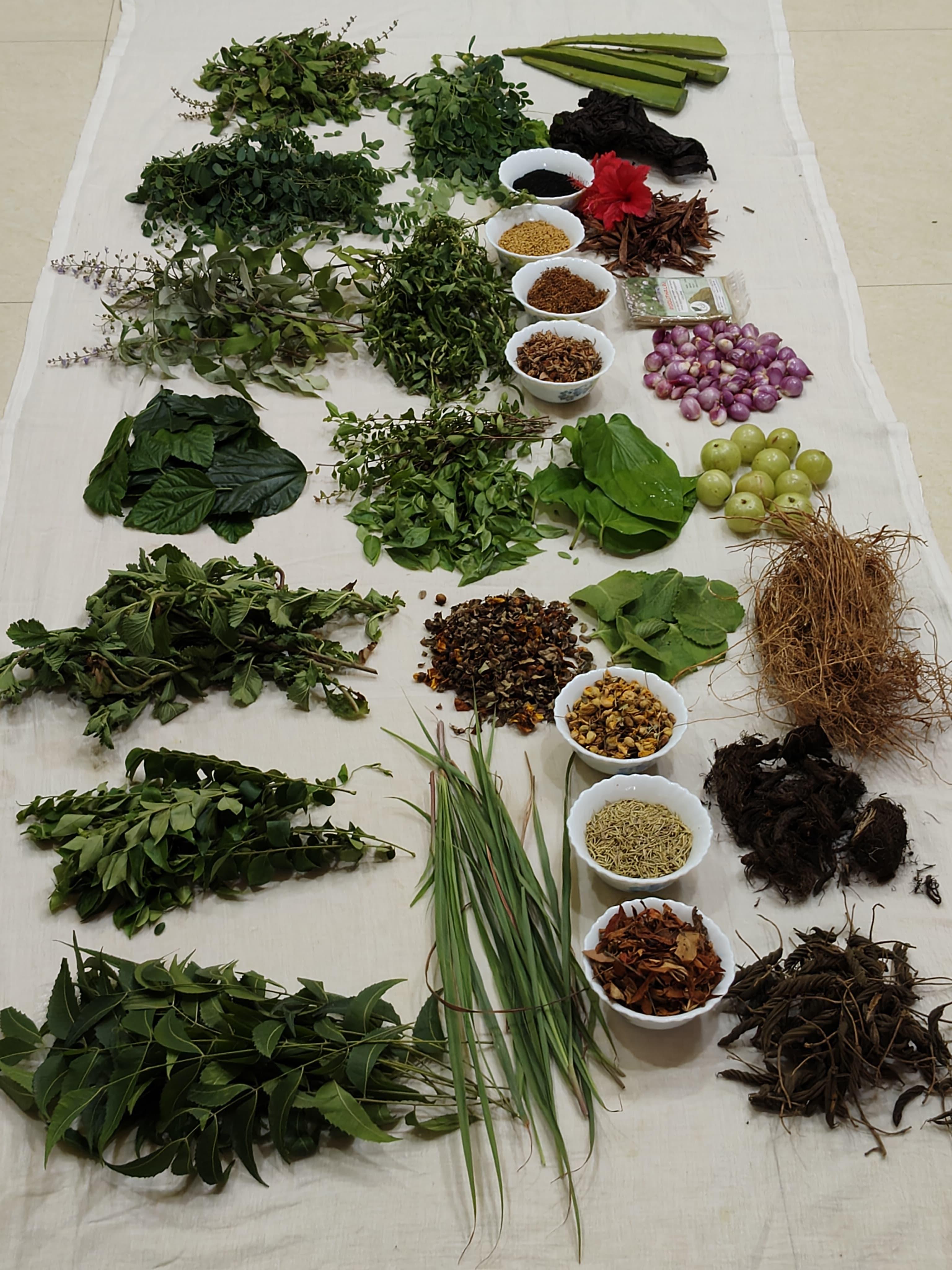 Herbal Hair oil - 100ml