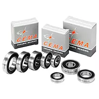 CEMA Bearings 6000