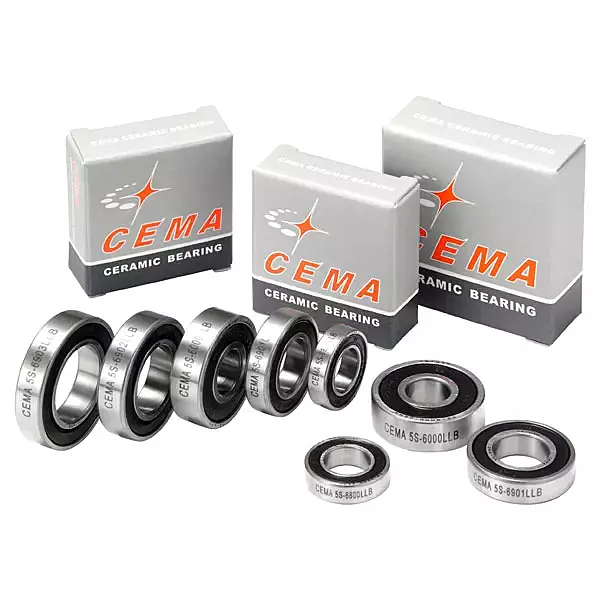 CEMA Bearings 6000