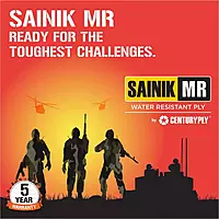 Century Sainik MR 303 Plywood