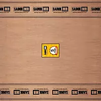 Century Sainik MR 303 Plywood