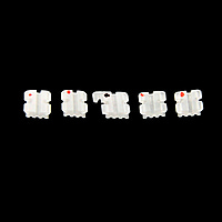 Ceramic Bracket Kits for Orthodontic Treatment – MBT, Roth & Edgewise