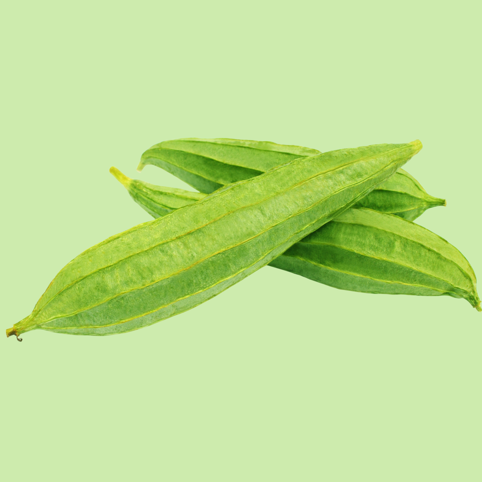 Gourd Ridge - 1pc - 500g