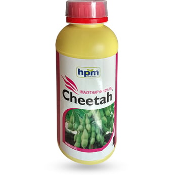 Cheetah -(HPM)