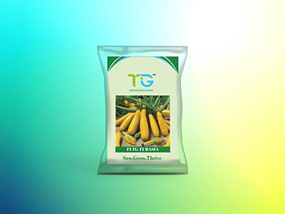 Hybrid Zucchini TG-Eurasia