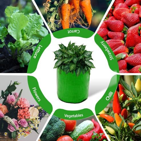 HDPE UV Plant Grow Bags, 12 x 12 inch,  Green, for Terrace Gardening and Fruit Plants(MultiPack)