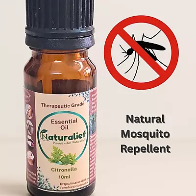 Citronella Essential Oil – Pure, Natural Protection and Uplifting Aromatherapy