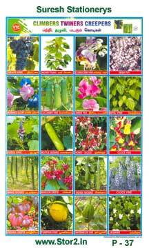 Climbers Twiners Creepers - Picture Chart No - 37