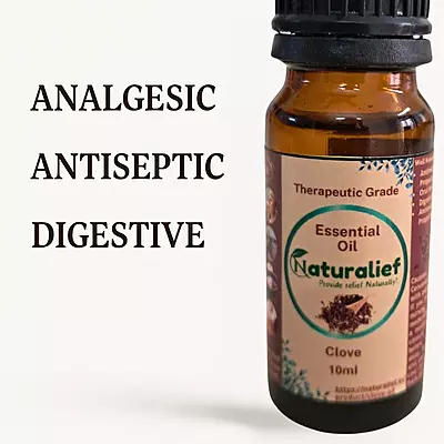 Clove Essential Oil – Natural Wellness with a Warm, Spicy Touch