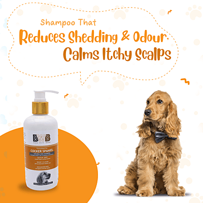 BWB COCKER SPANIEL SHAMPOO