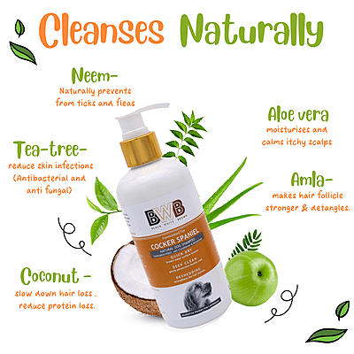 BWB COCKER SPANIEL SHAMPOO