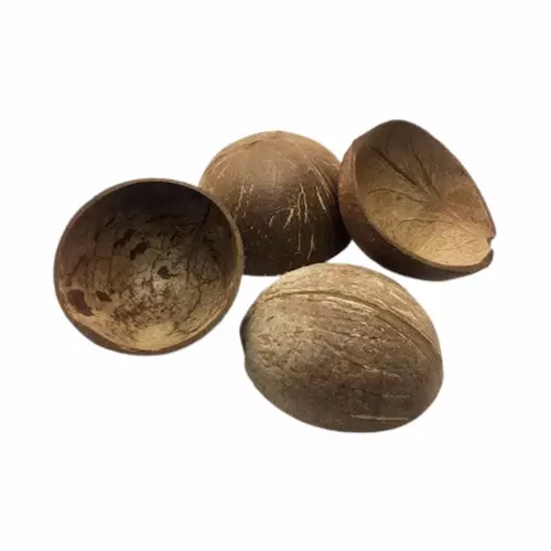 Coconut Shell Half