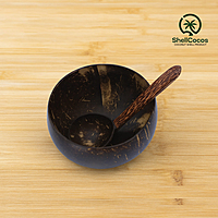 Shell Bowl -600-700 ML