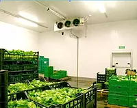 Fruit & Vegetable Cold Storage Rental
