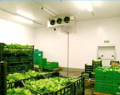 Fruit & Vegetable Cold Storage Rental