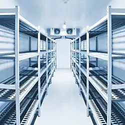 Cold Storage Facility Service