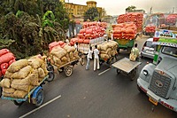 Farm Produce Transportation Services